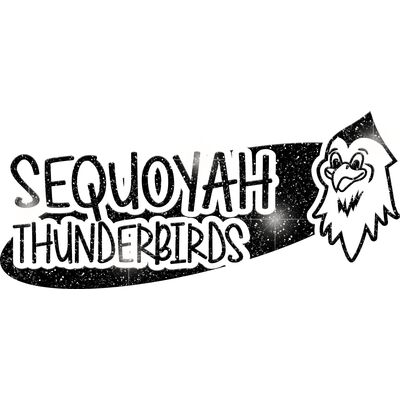 GLT100 BLACK GLITTER Thumbnail