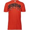 3065 Adult Extra Soft Tri-Blend T-Shirt Thumbnail